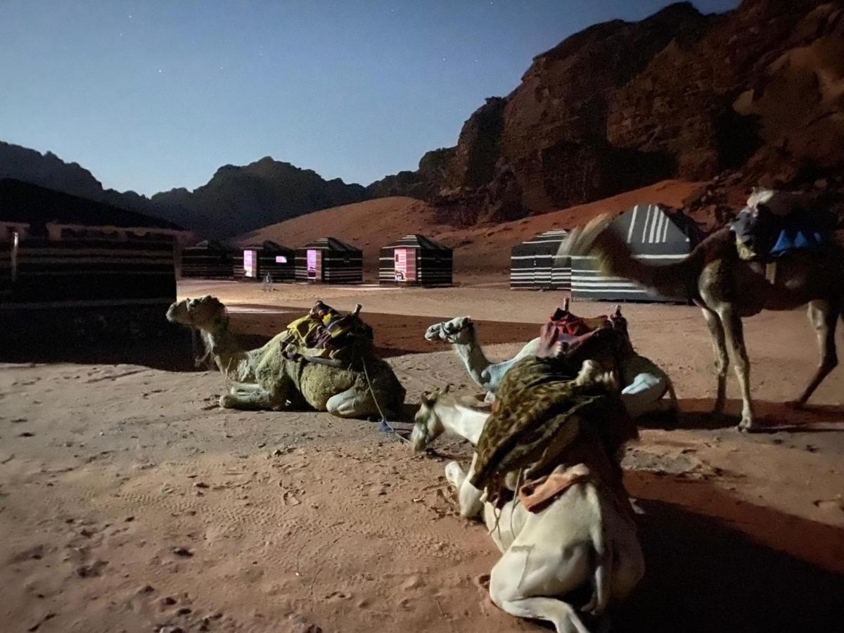 Wadi Rum Bedouin Experience Including Dinner And Breakfast Exteriör bild